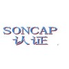 SONCAP认证 SONCAP认证产品覆盖范围