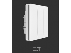 无线开关申请CE证书EN60669,EN300220,EN300440,EN301489图2