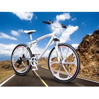 电动自行车申请UL认证UL2849测试报告